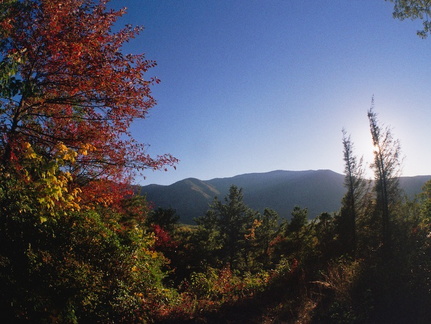 Lower Mt. Cammerer Trail